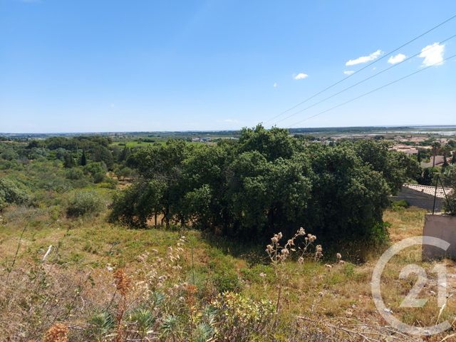 Terrain à vendre FRONTIGNAN