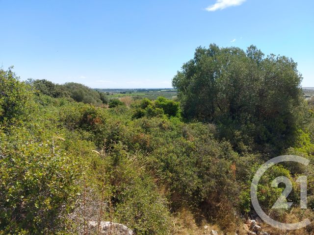 terrain à vendre - 32250.0 m2 - FRONTIGNAN - 34 - LANGUEDOC-ROUSSILLON - Century 21 Agence De La Gardiole