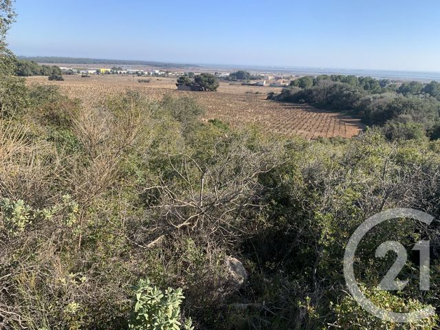 terrain à vendre - 5297.0 m2 - FRONTIGNAN - 34 - LANGUEDOC-ROUSSILLON - Century 21 Agence De La Gardiole