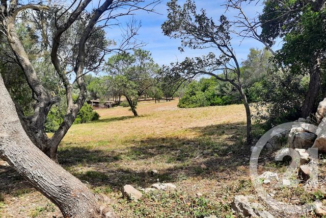 maison à vendre - 12 pièces - 289.08 m2 - FRONTIGNAN - 34 - LANGUEDOC-ROUSSILLON - Century 21 Agence De La Gardiole