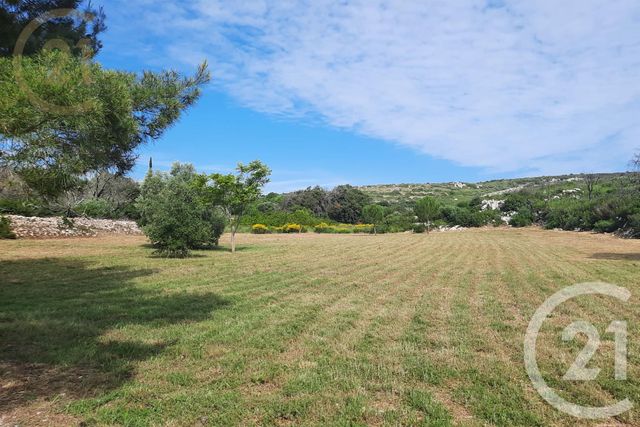maison à vendre - 12 pièces - 289.08 m2 - FRONTIGNAN - 34 - LANGUEDOC-ROUSSILLON - Century 21 Agence De La Gardiole
