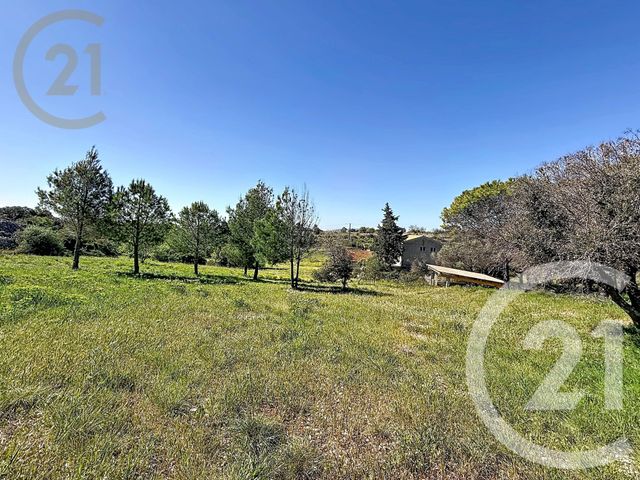 maison à vendre - 12 pièces - 289.08 m2 - FRONTIGNAN - 34 - LANGUEDOC-ROUSSILLON - Century 21 Agence De La Gardiole