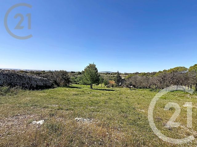 maison à vendre - 12 pièces - 289.08 m2 - FRONTIGNAN - 34 - LANGUEDOC-ROUSSILLON - Century 21 Agence De La Gardiole
