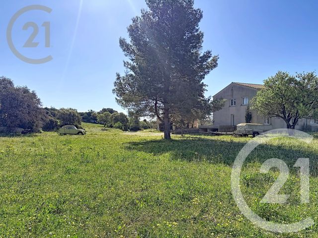 maison à vendre - 12 pièces - 289.08 m2 - FRONTIGNAN - 34 - LANGUEDOC-ROUSSILLON - Century 21 Agence De La Gardiole