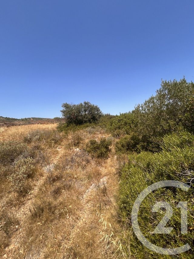terrain à vendre - 4094.0 m2 - FRONTIGNAN - 34 - LANGUEDOC-ROUSSILLON - Century 21 Agence De La Gardiole