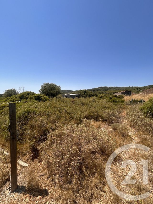 terrain à vendre - 4094.0 m2 - FRONTIGNAN - 34 - LANGUEDOC-ROUSSILLON - Century 21 Agence De La Gardiole