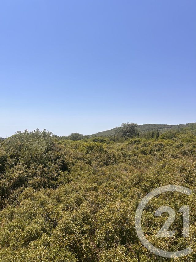 terrain à vendre - 4094.0 m2 - FRONTIGNAN - 34 - LANGUEDOC-ROUSSILLON - Century 21 Agence De La Gardiole