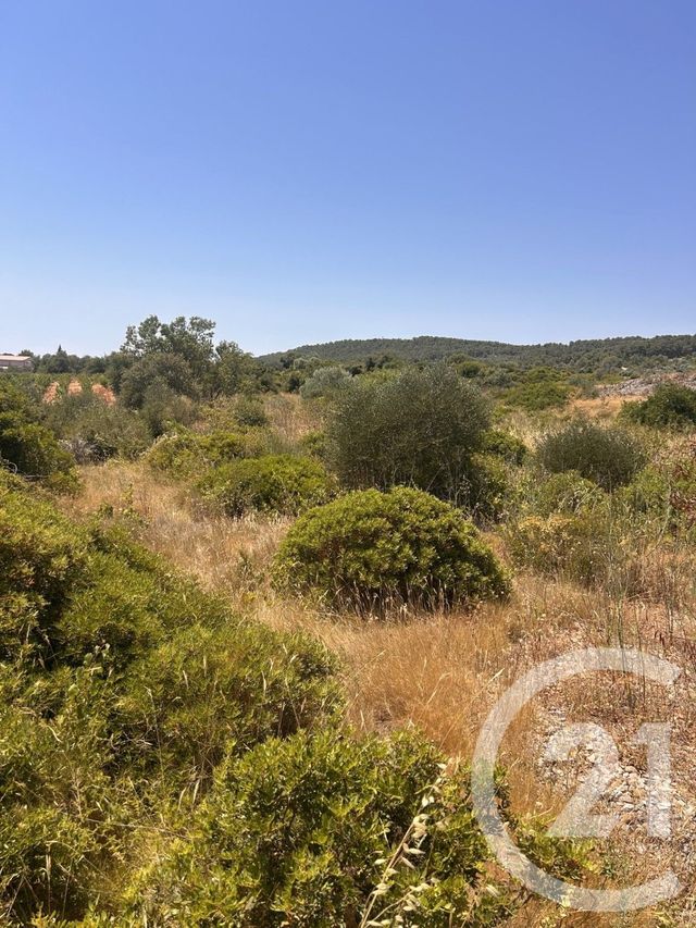 terrain à vendre - 4094.0 m2 - FRONTIGNAN - 34 - LANGUEDOC-ROUSSILLON - Century 21 Agence De La Gardiole
