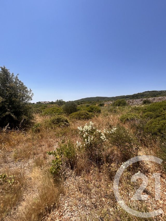 terrain à vendre - 4094.0 m2 - FRONTIGNAN - 34 - LANGUEDOC-ROUSSILLON - Century 21 Agence De La Gardiole