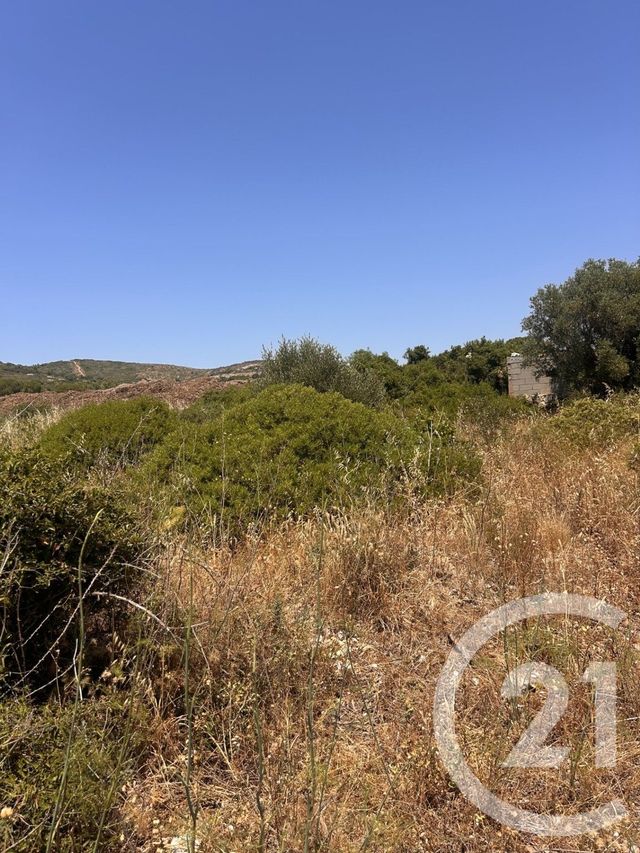terrain à vendre - 4094.0 m2 - FRONTIGNAN - 34 - LANGUEDOC-ROUSSILLON - Century 21 Agence De La Gardiole