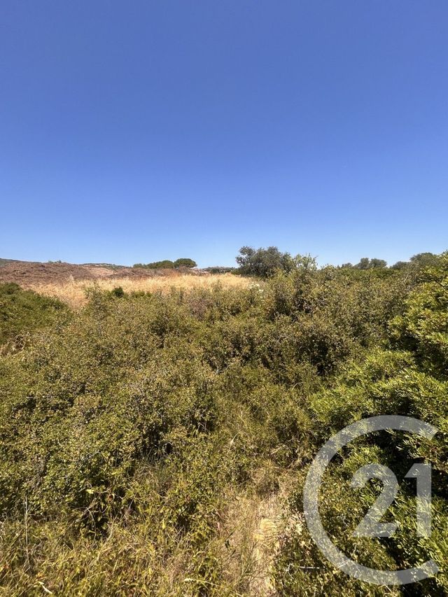 terrain à vendre - 4094.0 m2 - FRONTIGNAN - 34 - LANGUEDOC-ROUSSILLON - Century 21 Agence De La Gardiole