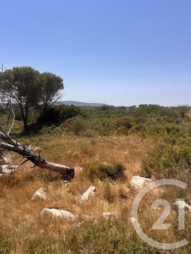 terrain à vendre - 4094.0 m2 - FRONTIGNAN - 34 - LANGUEDOC-ROUSSILLON - Century 21 Agence De La Gardiole