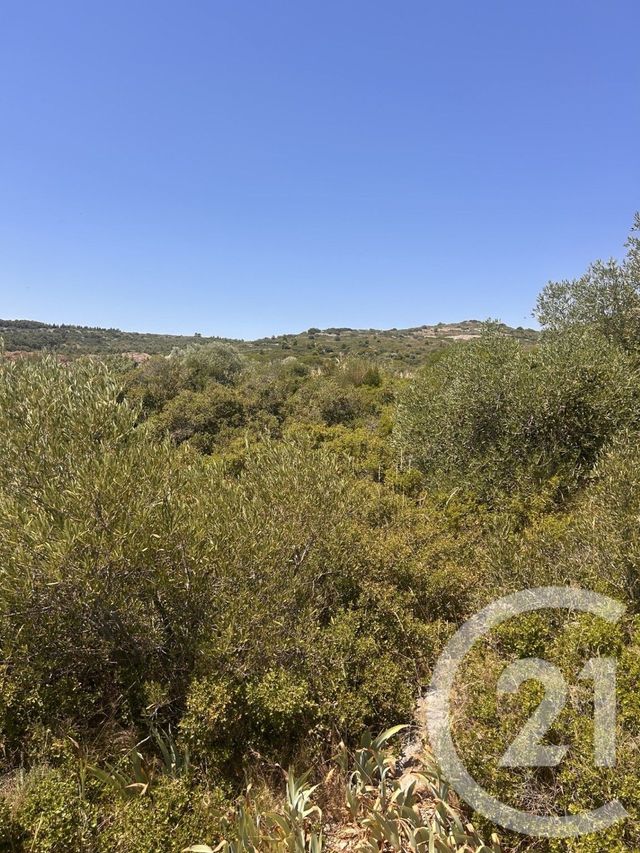terrain à vendre - 4094.0 m2 - FRONTIGNAN - 34 - LANGUEDOC-ROUSSILLON - Century 21 Agence De La Gardiole