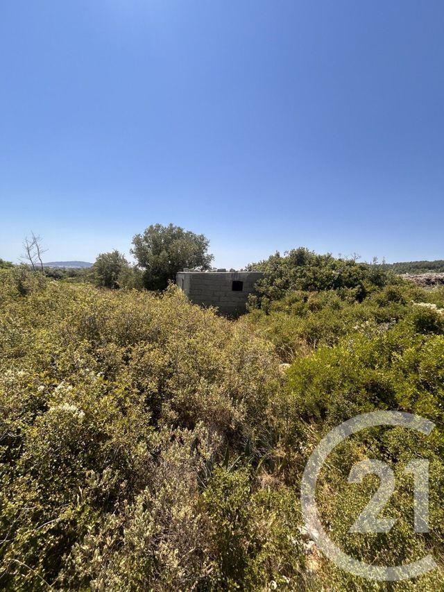 terrain à vendre - 4094.0 m2 - FRONTIGNAN - 34 - LANGUEDOC-ROUSSILLON - Century 21 Agence De La Gardiole