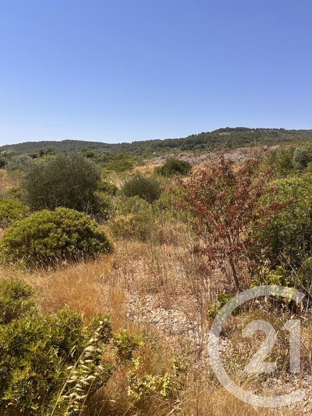 terrain à vendre - 4094.0 m2 - FRONTIGNAN - 34 - LANGUEDOC-ROUSSILLON - Century 21 Agence De La Gardiole