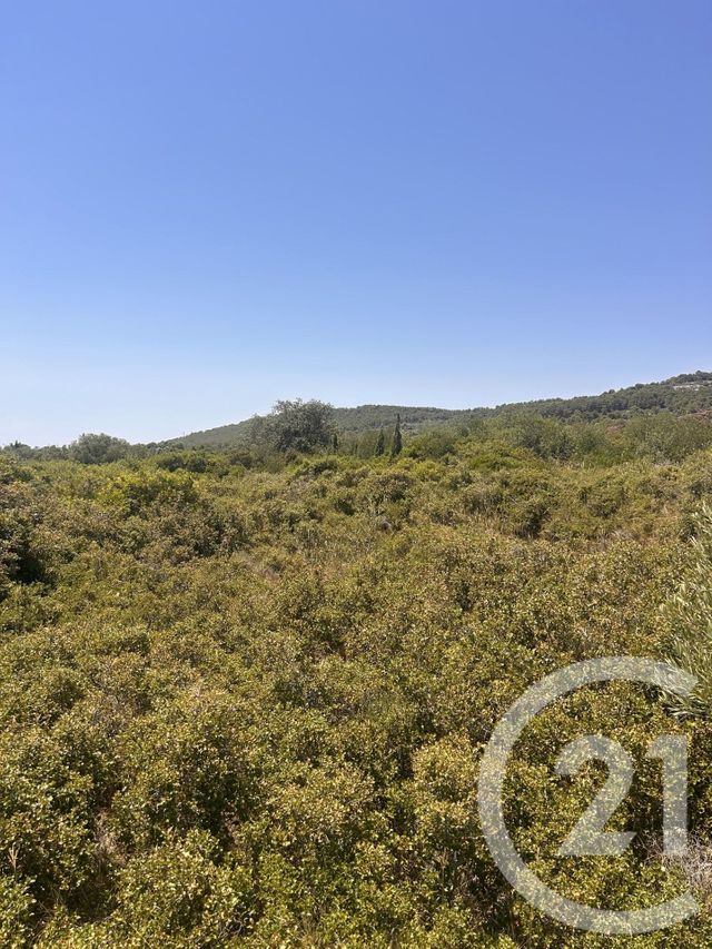terrain à vendre - 4094.0 m2 - FRONTIGNAN - 34 - LANGUEDOC-ROUSSILLON - Century 21 Agence De La Gardiole